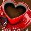 cherinehassoun